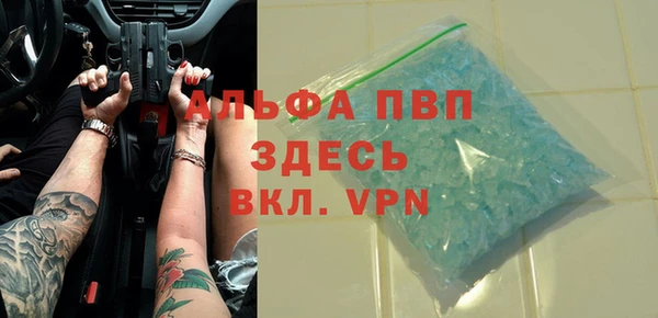 стаф Арсеньев