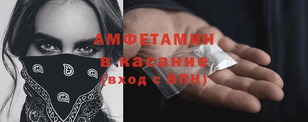 стаф Арсеньев