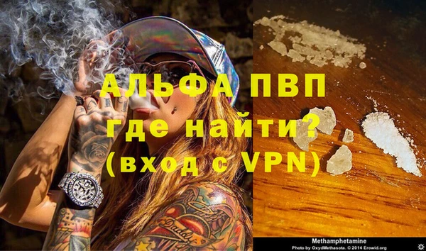 стаф Арсеньев