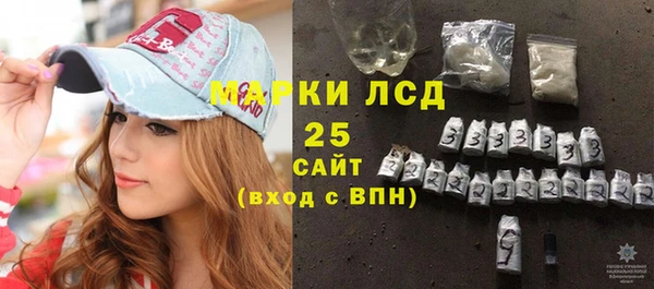 стаф Арсеньев