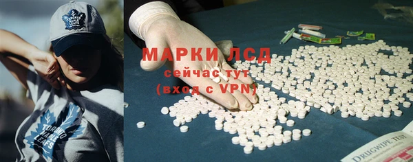 стаф Арсеньев