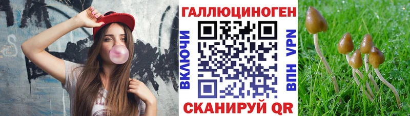 Псилоцибиновые грибы MAGIC MUSHROOMS  Новоуральск 